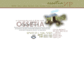 ossetia.net