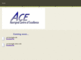 aboriginalcentreofexcellence.com