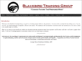 blackbirdmartialarts.com