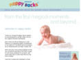 nappy-sacks.com