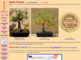 betterbonsai.com