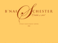 bnaiandchesterwedding.com