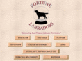 fortunelabradors.com
