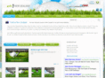 golfinnewzealand.net