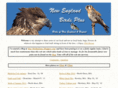 nebirdsplus.com