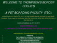 thompsonsbordercollies.com