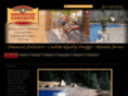 americanconcretemn.com