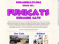 burmesecats.org