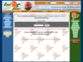 envioflor.com