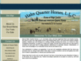 hahnquarterhorses.com