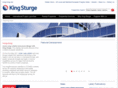 kingsturge.com.hk