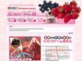 shinyama-ichigo.com