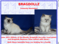 bragdollz.info