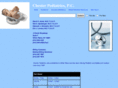 chesterpediatrics.com