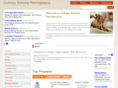 culinaryschoolspennsylvania.com