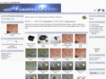 hamilton007.com