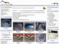 clasicasmontefrio.com