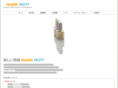 health-mott.com