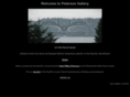 petersongalleries.com