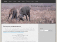 solognesauvage.com