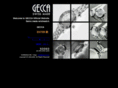 gecca.com