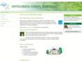 myfloridaenergy.info