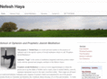 nefeshhaya.com