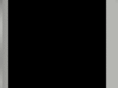 stoneckcap.com