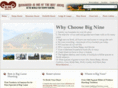 bignine.com