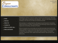 bryanconsultants.com