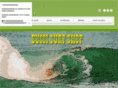 buccisurf.com