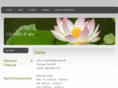 ctnailsnspa.com