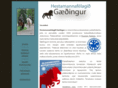 gaedingur.net