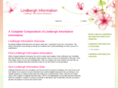 lindberghspirit.com