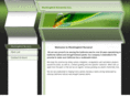 mockingbirdnursery.com