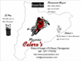 pizzeriacalero.com