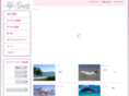 stw-fiji.com