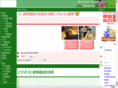 vic-sys.com