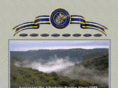 alleghenysurveys.com
