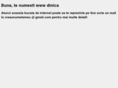 dinica.info