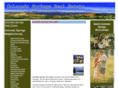 colorado-springs-real-estate.com