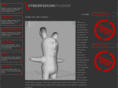 cyberpigeon.net