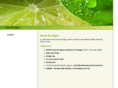 green-sixsigma.com