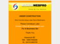 solusiwebpro.com