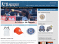 topspinusa.com