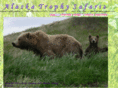 alaskakodiakbearviewingsafaris.com