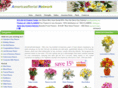 americasfloristnetwork.com