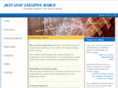 nextlevelexecutive.com