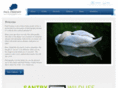 paulfreeney.com