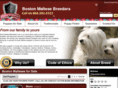 bostonmaltesebreeders.com